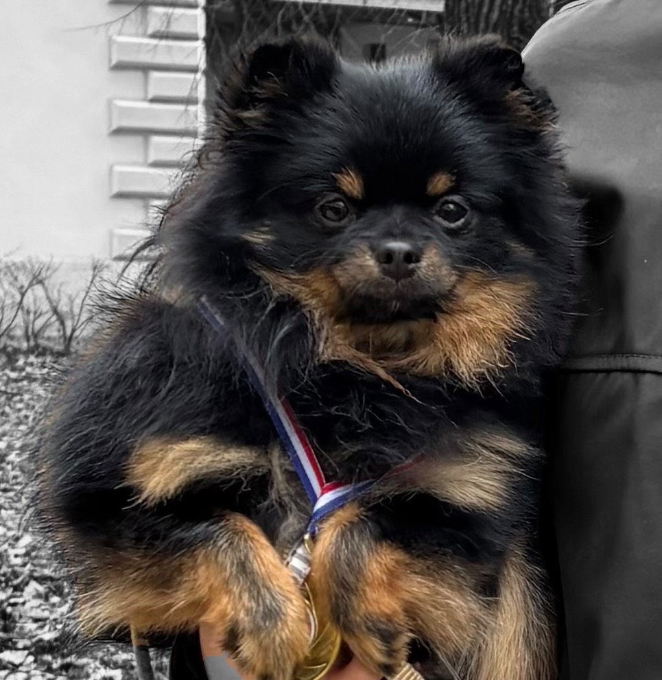 Viny l?ourson de lounanouchka