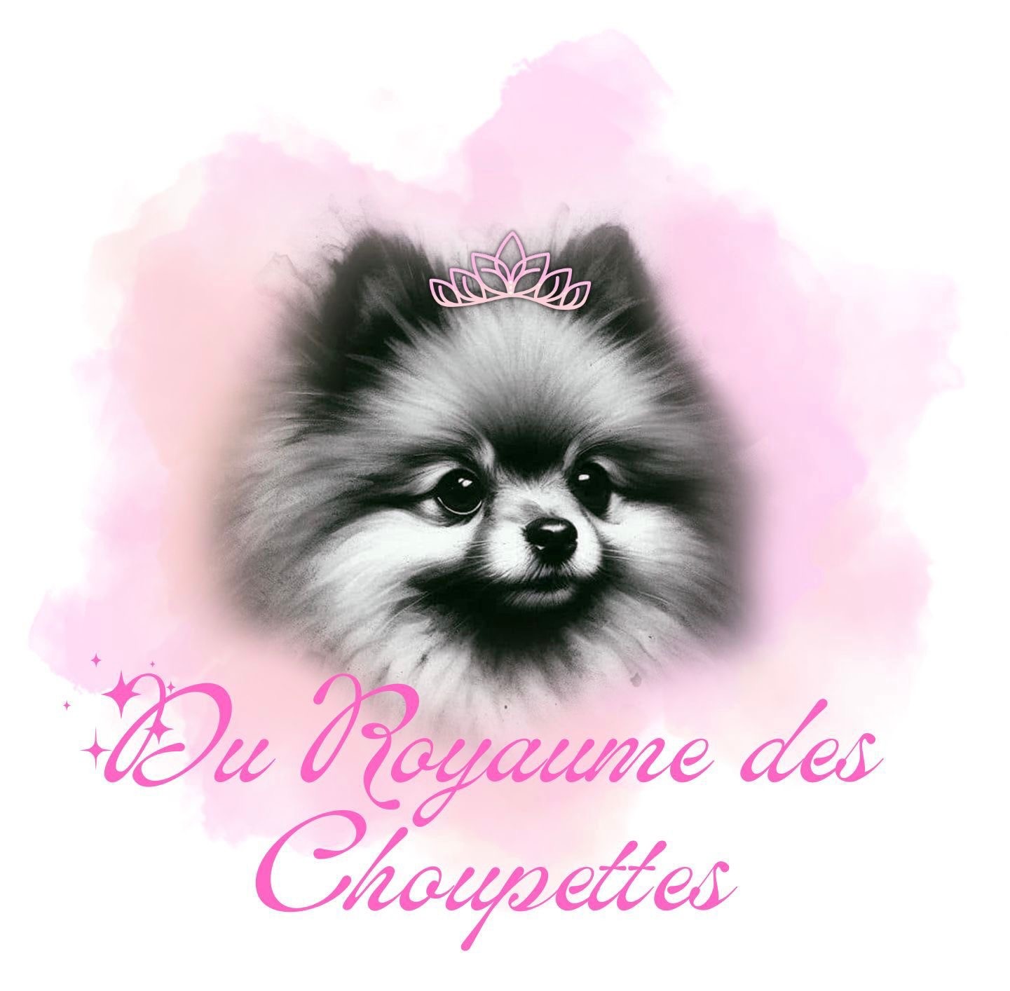 Du Royaume Des Choupettes